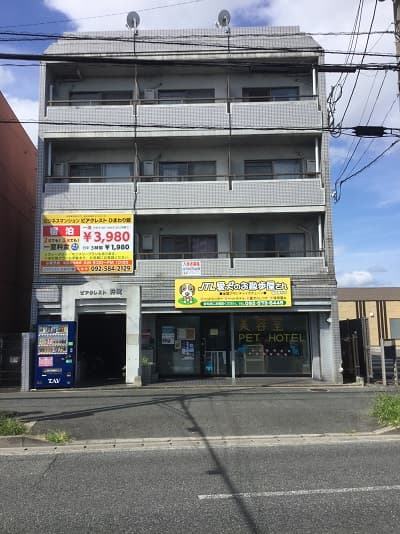 ビジネス　マンション　ピアクレスト　ひまわり館