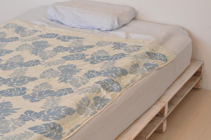 ｉｎｓｉｄｅ－ｙ 2