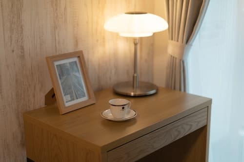 ＯＳＡＫＡ　ＳＵＮＳＨＩＮＥ　ＴＯＷＥＲ２１［女性専用］／民泊