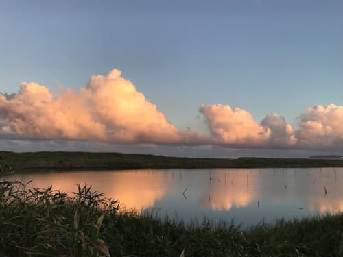 Capetown Lagoon Resort ^
