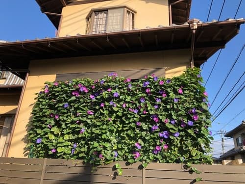 KOTO TEA HOUSE/民泊