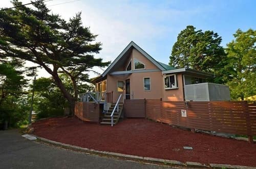 ｃｏｃｏｌｏｇ　ｇｒｅｅｎ　ｍｏｕｎｔ　＾