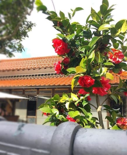 童心の小宿 なみ路