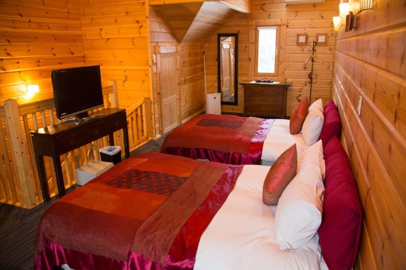 ペットと泊まるホテル　ＣＡＲＯ　ＦＯＲＥＳＴＡ　ＥＬＦＯ 2