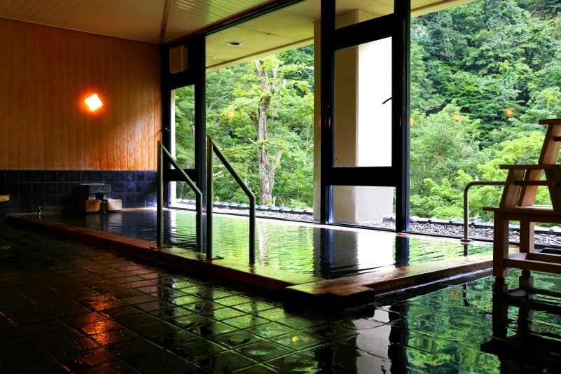 松川渓谷に佇む宿　信州山田温泉　山田館 2