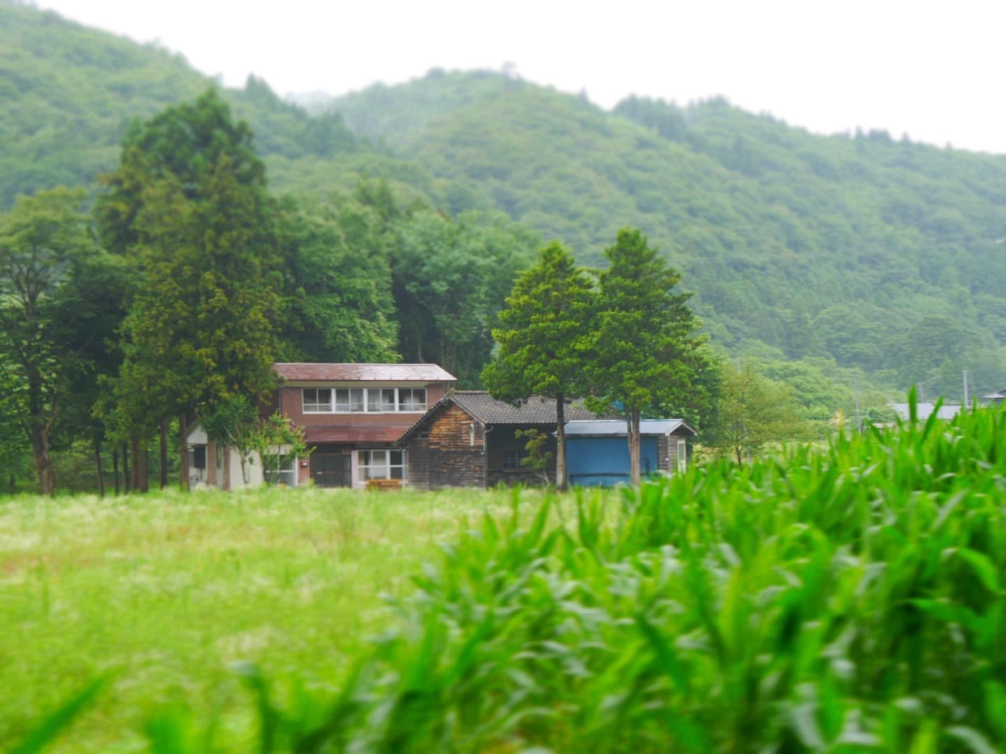 ＢＡＫＫＥ／民泊