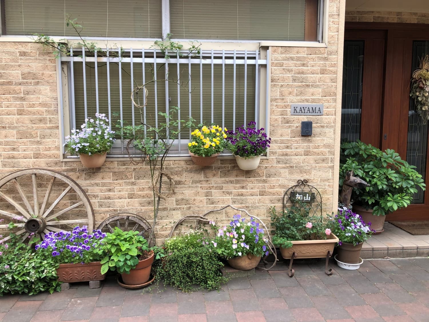 Ｈａｎａ館　《バラの町福山》／民泊