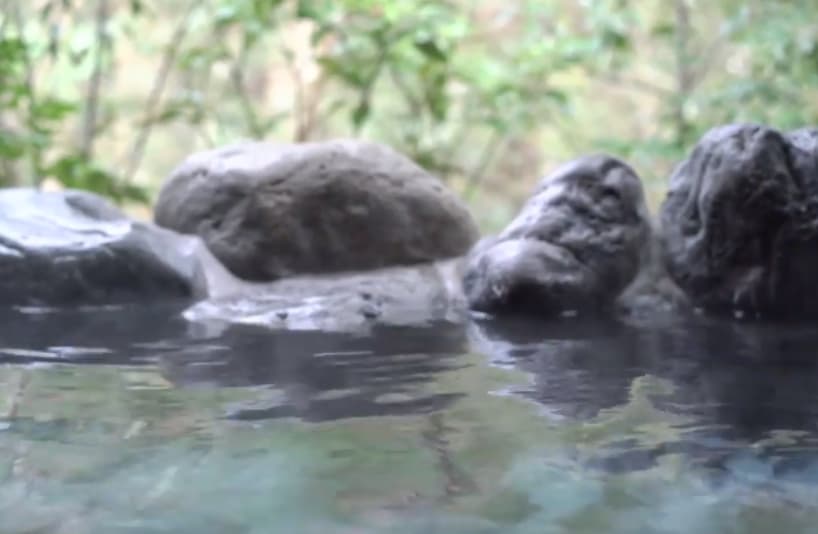 新習志野駅前　天然温泉　湯〜ねる 2