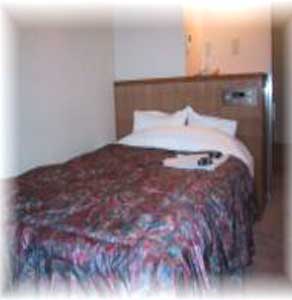 富士グリーンホテル 2