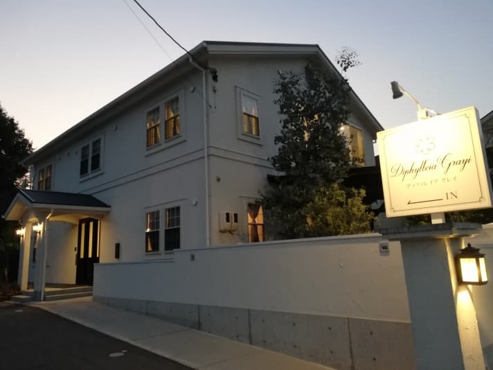 Guest House Diphylleia Grayi