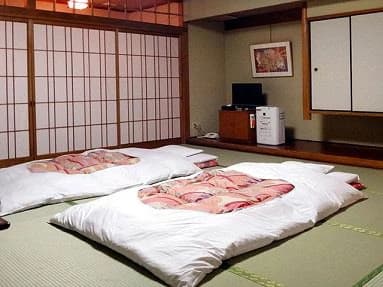 秋葉原　旅荘中川 2