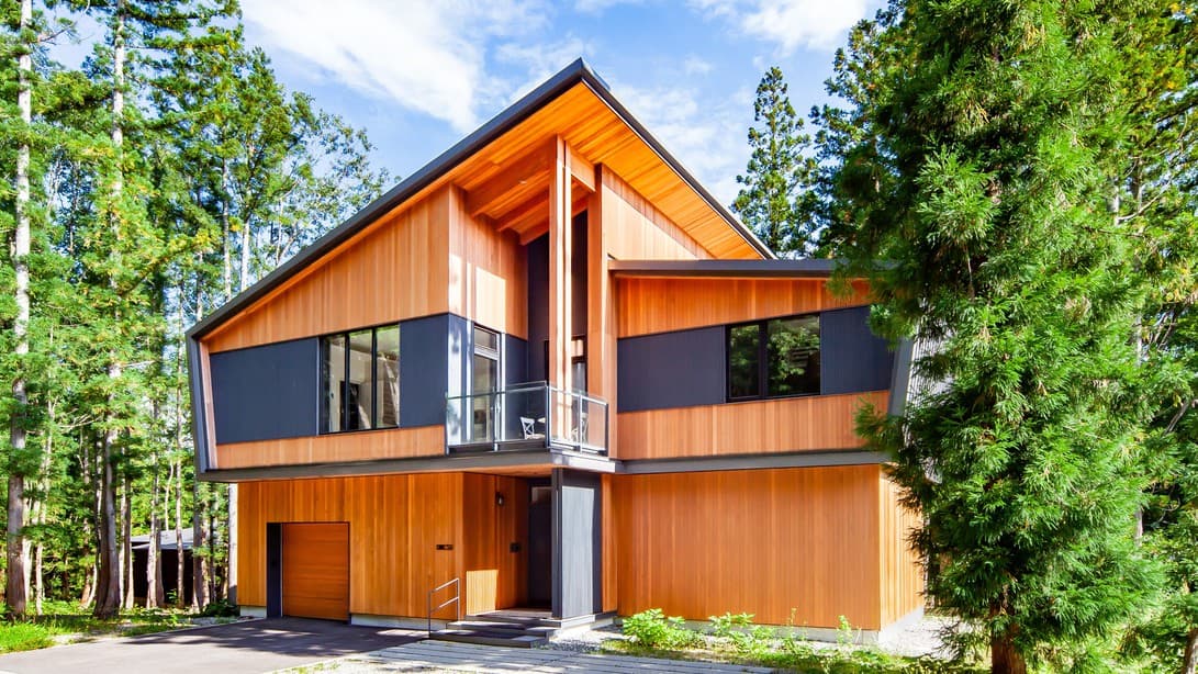 Ａｍｏ　５４（アモ５４）