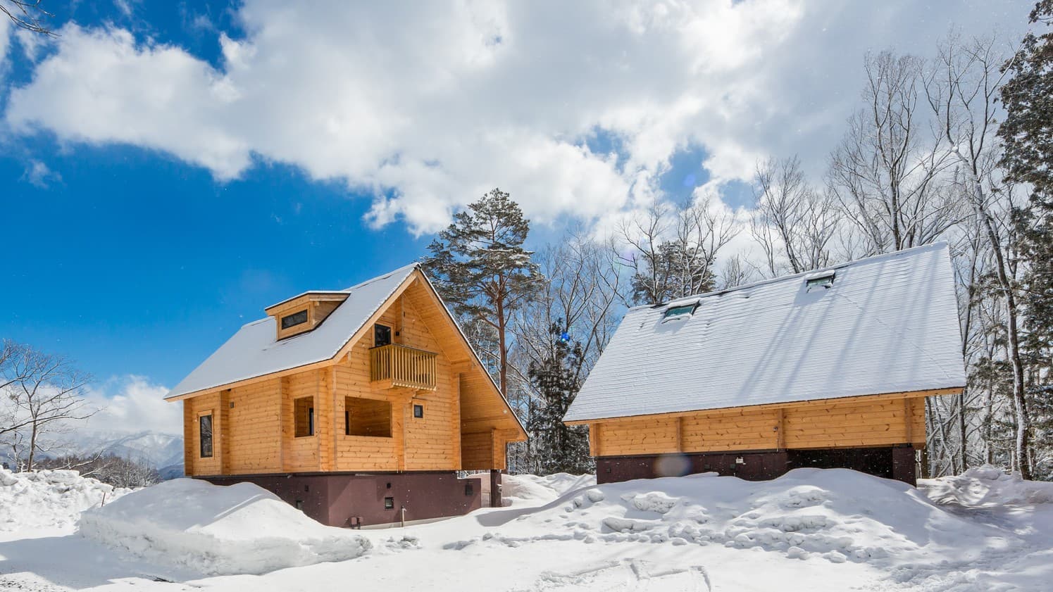 Ｗａｄａｎｏ　Ｗｏｏｄｓ（ワダノウッズ）