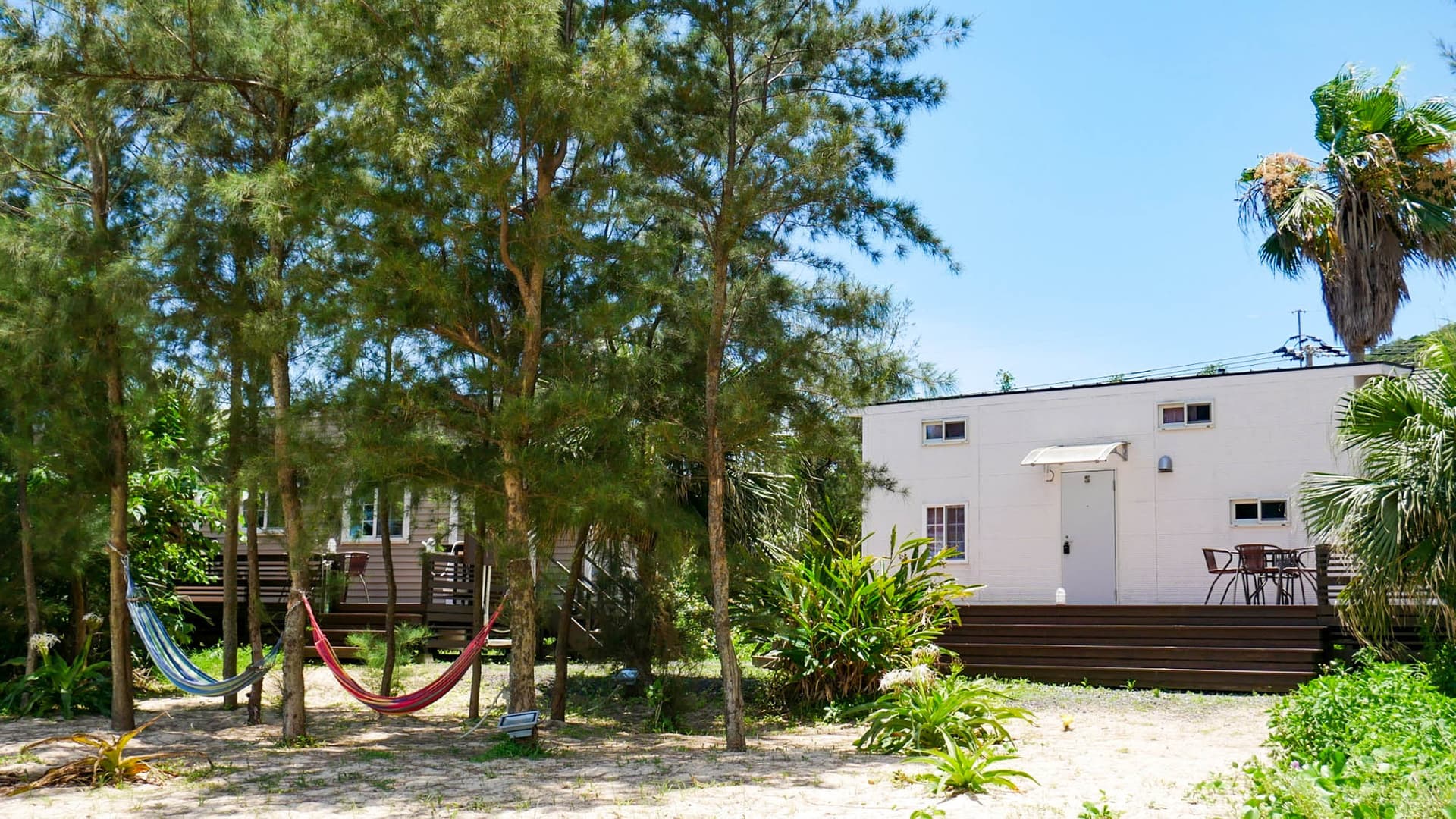 Le GRAND BLEU(ル・グランブルー)<奄美大島>