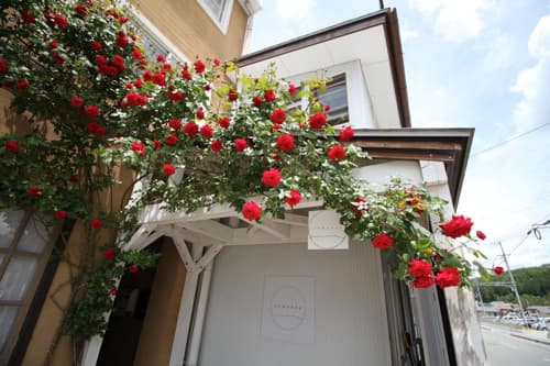 ｃｏｍｐａｓｓ