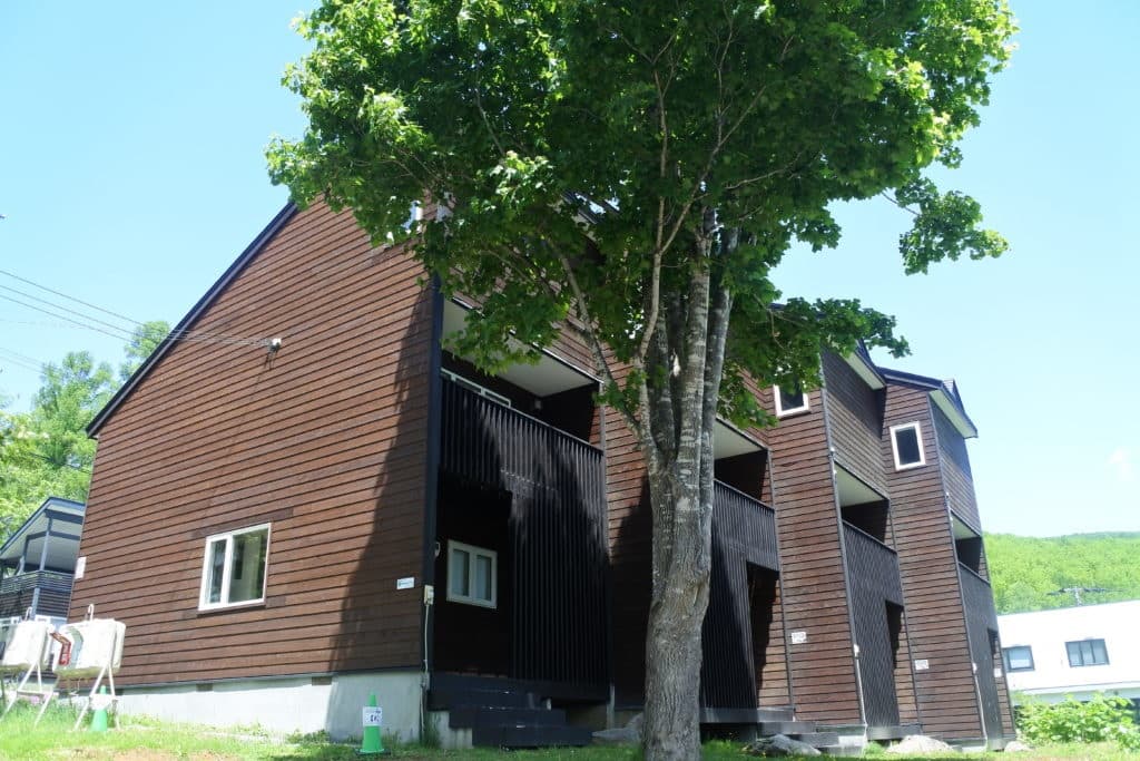 ホリデーニセコ エゾユキ