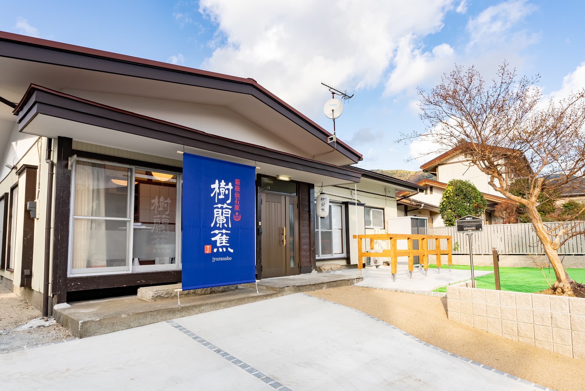 樹蘭蕉 箱根 仙石原