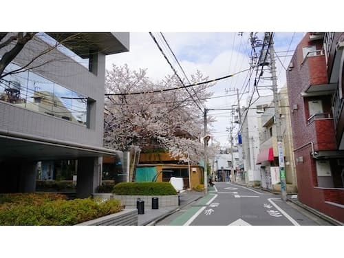 ＳＨＩＢＵＹＡ　Ｎｏ．２Ｎｏ．３／民泊