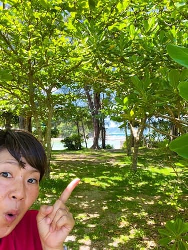 慶佐次CAMP SITE ^