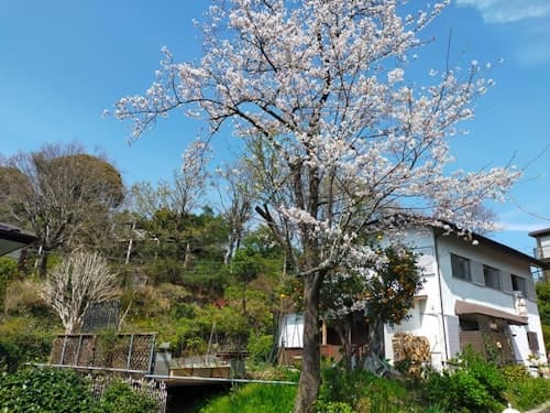 ペンション伊豆高原　＾