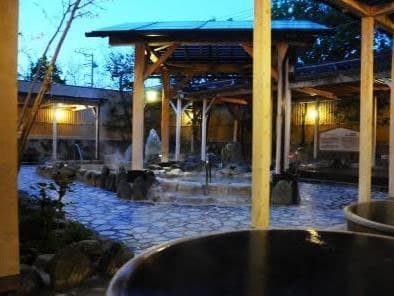 羽生天然温泉ルートイングランティア羽生ＳＰＡ　ＲＥＳＯＲＴ 2