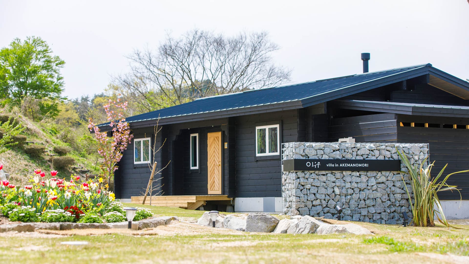 ＦＯＲＥＡＴ　ａｋｅｍａｎｏｍｏｒｉ