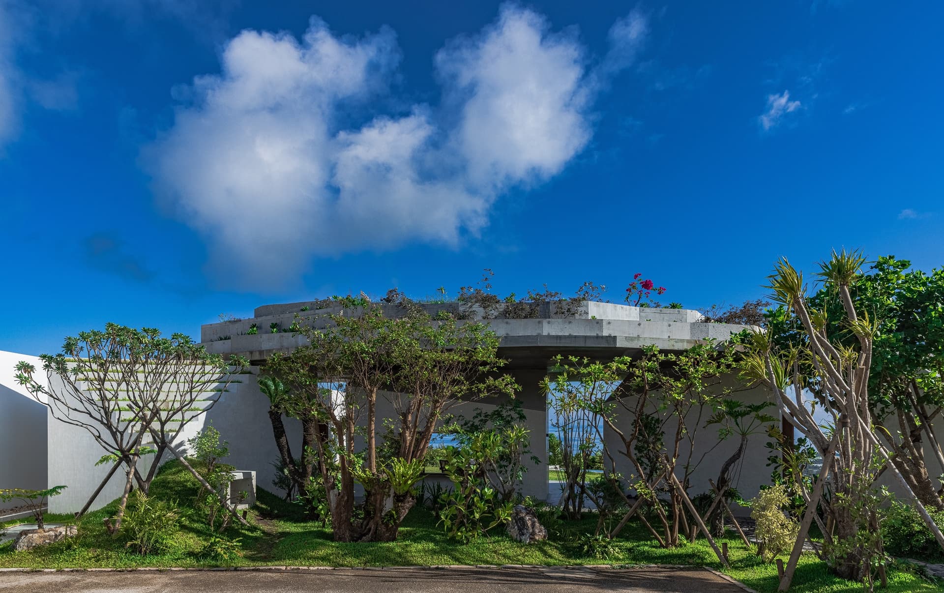 ＭＡＫＩＮＡ　ＮＡＫＩＪＩＮ