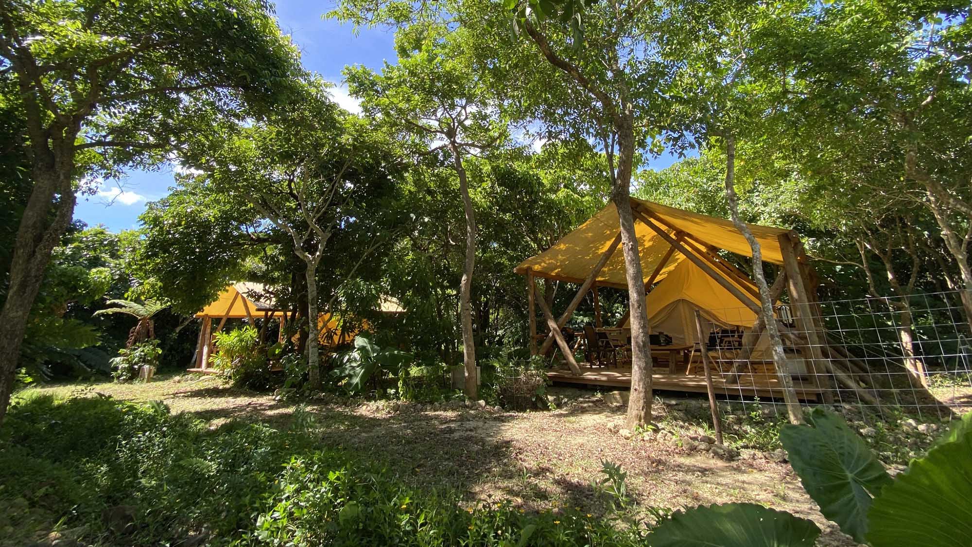 レインボーフォレスト＜石垣島＞