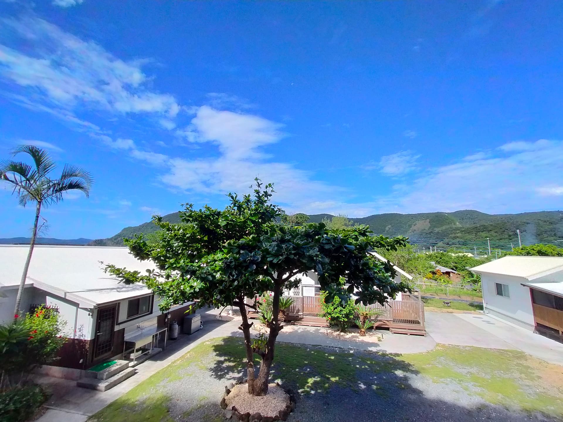 sea rekan<奄美大島>