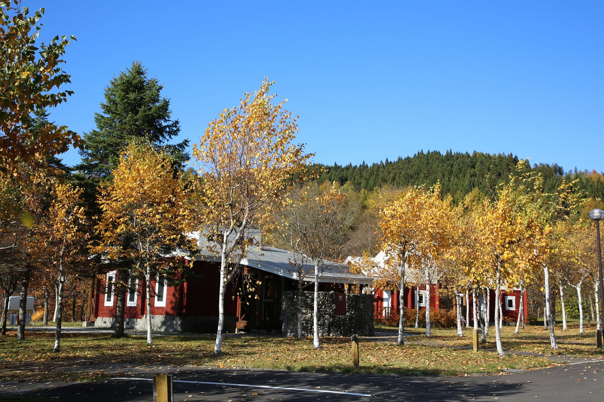 鶉ダムオートキャンプ場　ハチャムの森