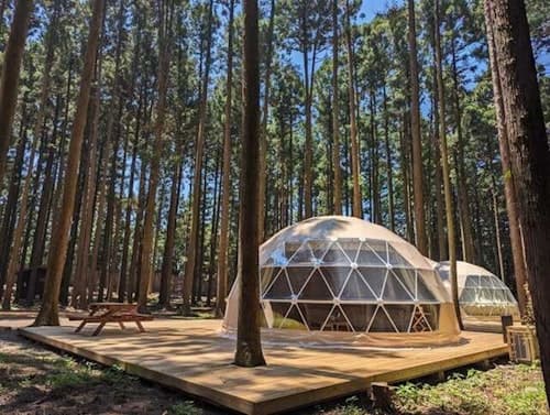 赤城　ときわぎの森キャンプ場　＾