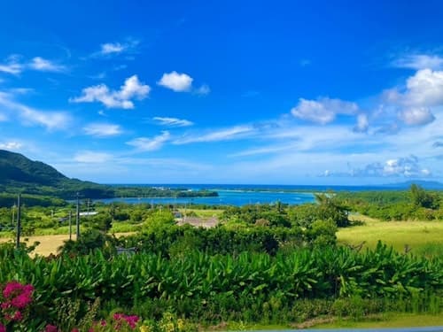 ニコハウスＣ　＾