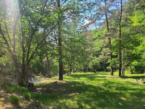 野田平キャンプ場 ^