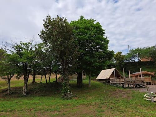 Bamboo Camp Site 『いすみ源氏ぼたるの里』 ^