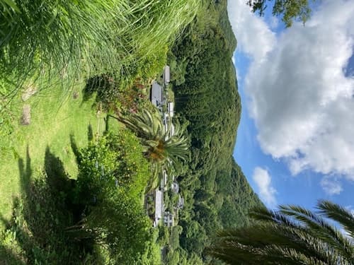 キンタ・ガーデン　＾