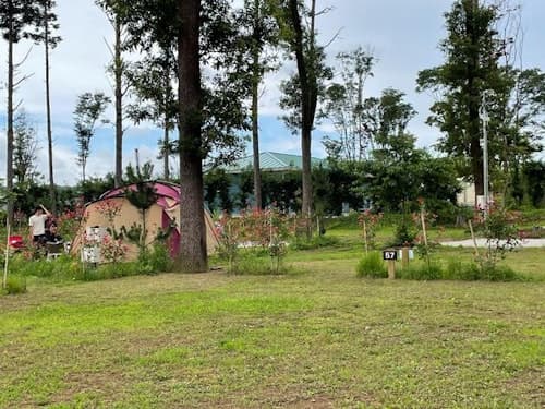 ＣＡＭＰ　さくらの丘　＾