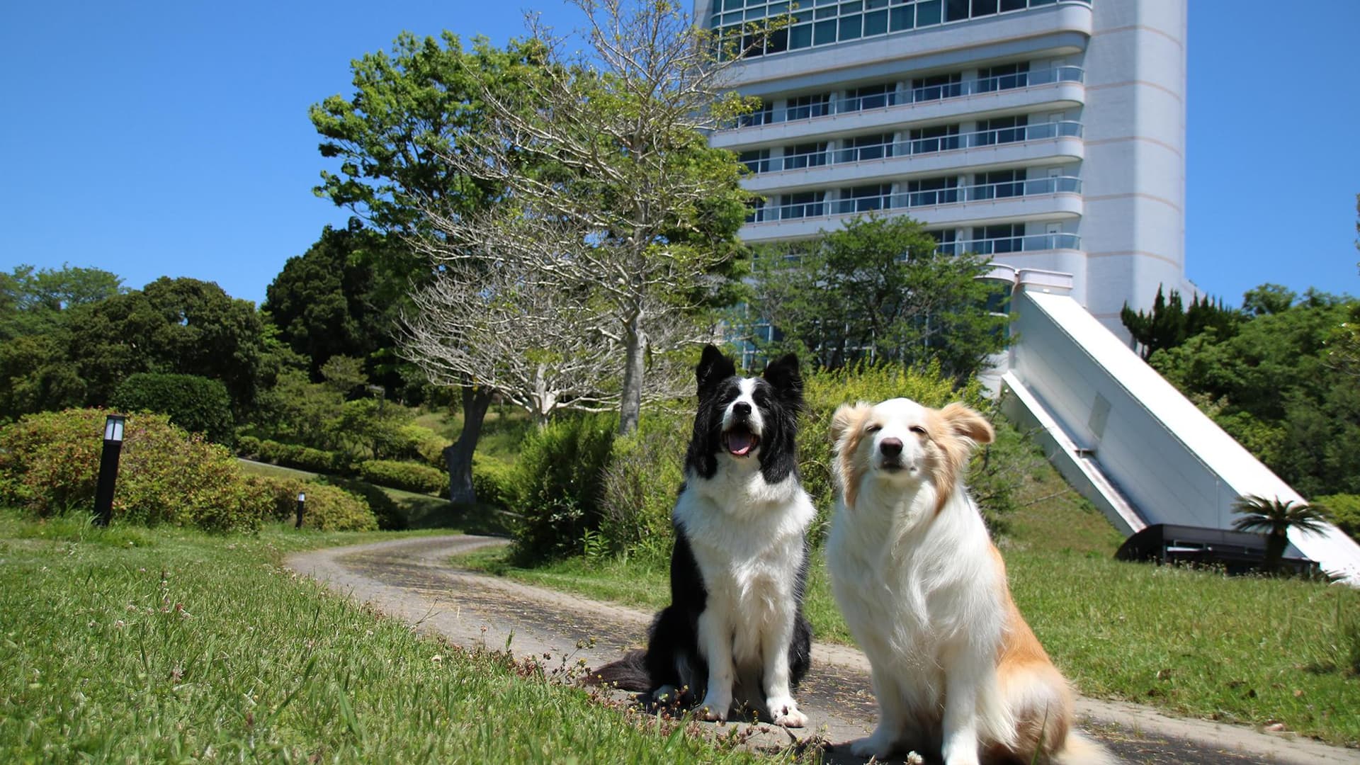 わんわんパラダイス プレミア 南紀白浜(旧:南紀白浜わんわんパラダイス)