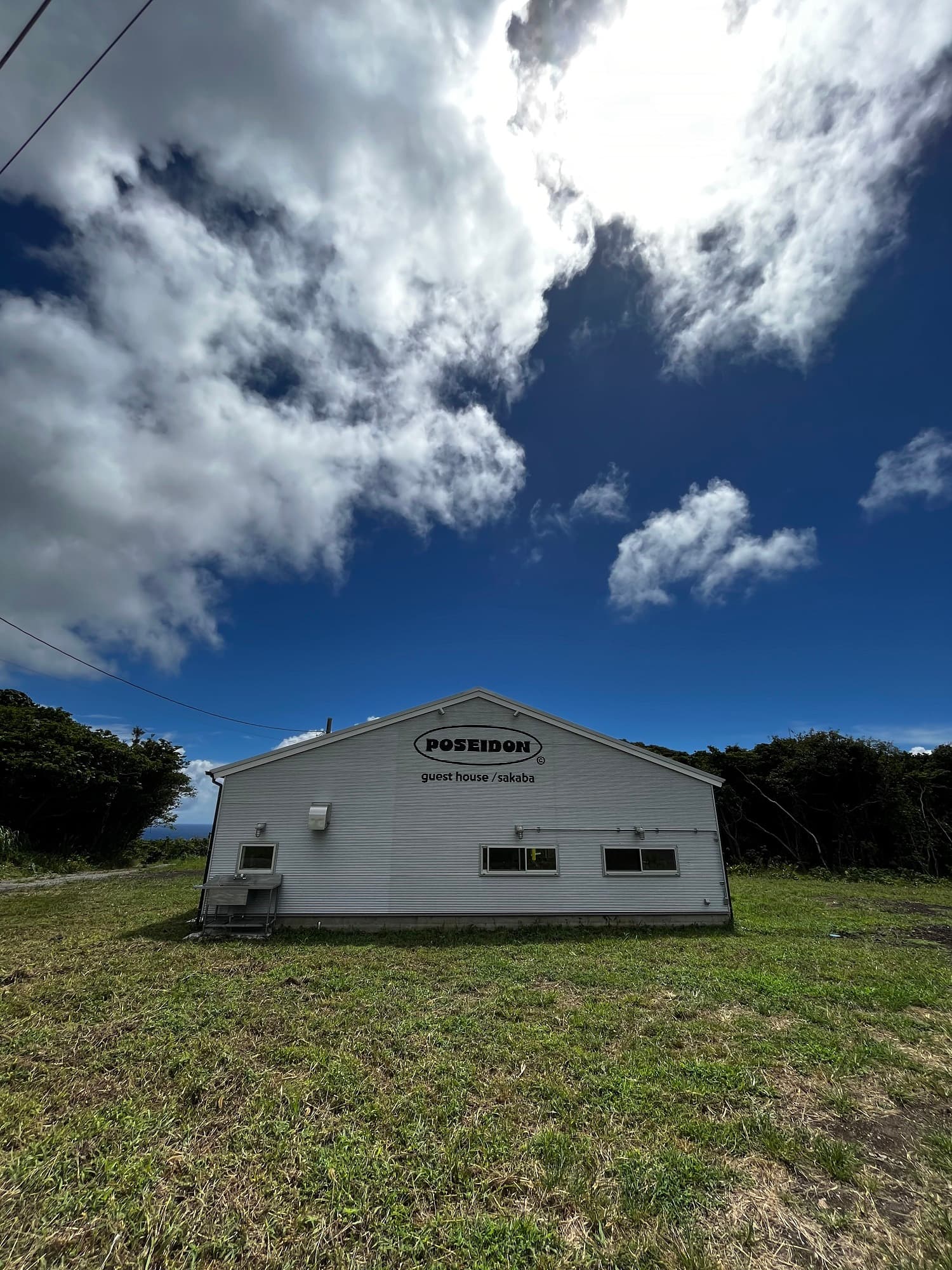 ＰＯＳＥＩＤＯＮ＜八丈島＞