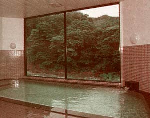 夏油高原温泉郷　入畑温泉　瀬目乃湯 2