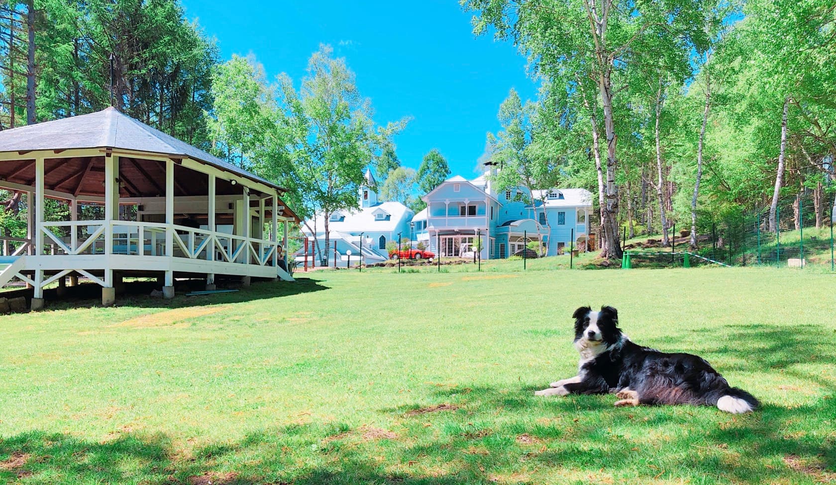青空の扉　犬と泊まれるプチホテル