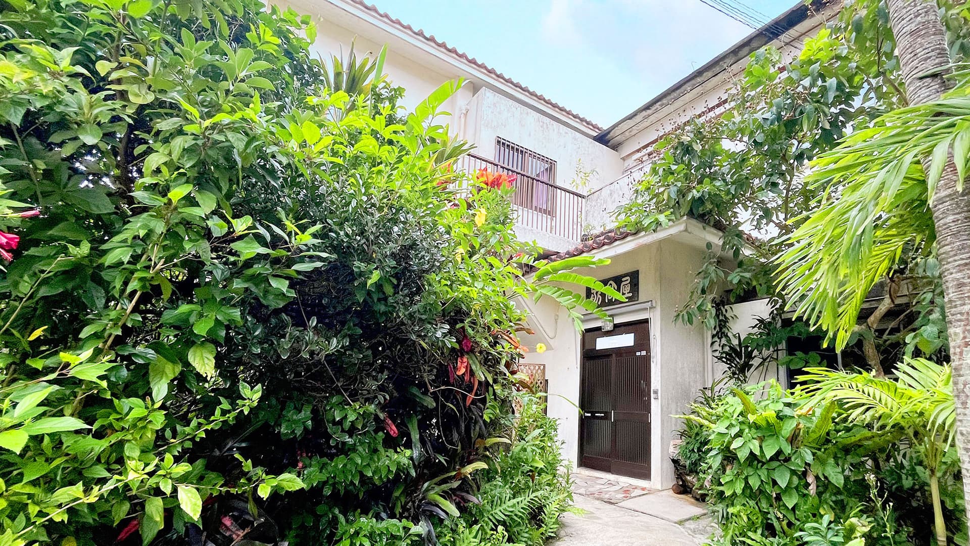 ＭＡＥＴＡＫＡＹＡしまんちゅ＜石垣島＞