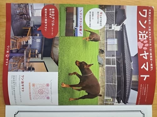 ワン泊ヤマト　＾