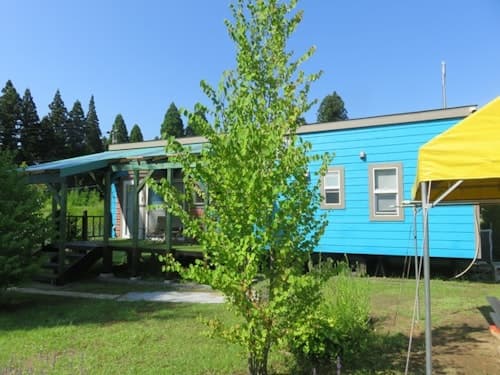 ワイルドキャット　＾