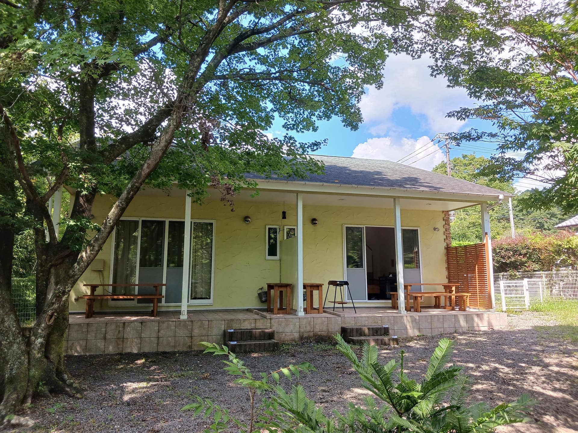 ＨＡＬＥ　ＩＬＩＯ