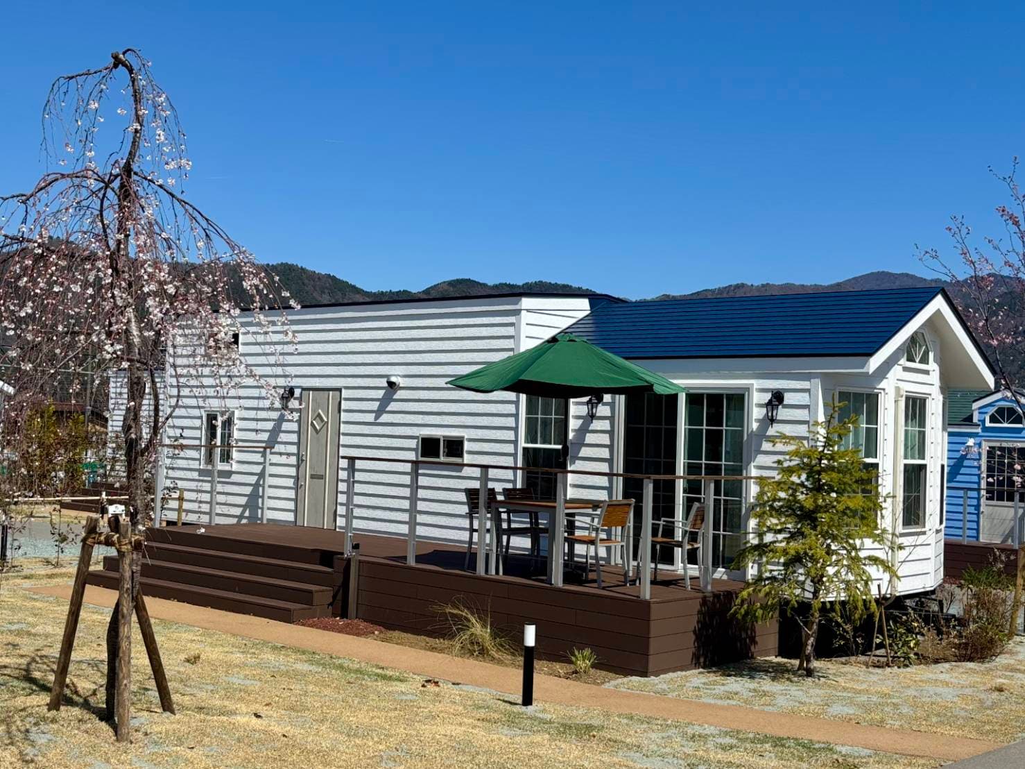 イン・ザ・富士