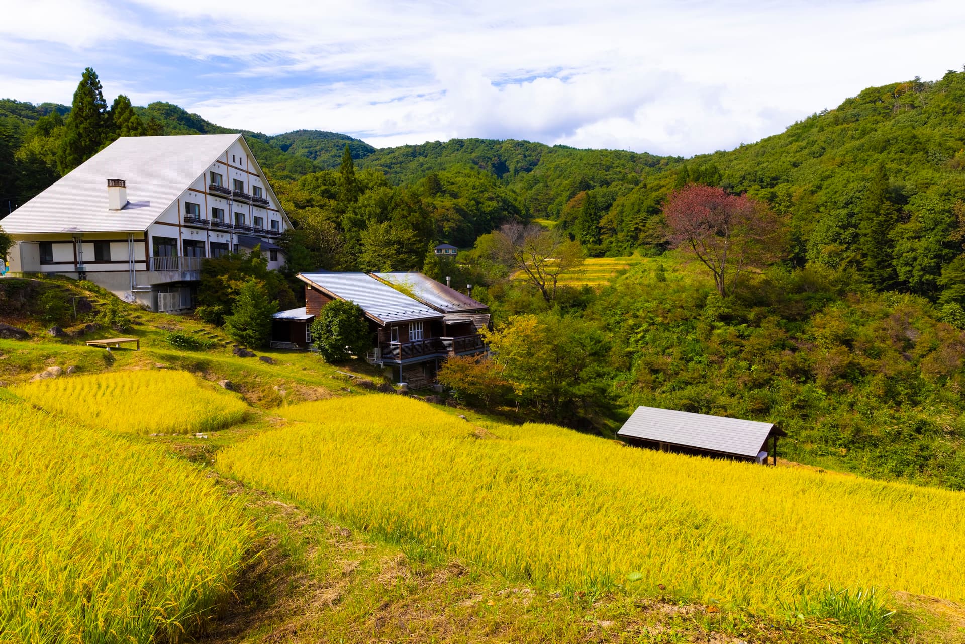 さなざわ㞢テラス