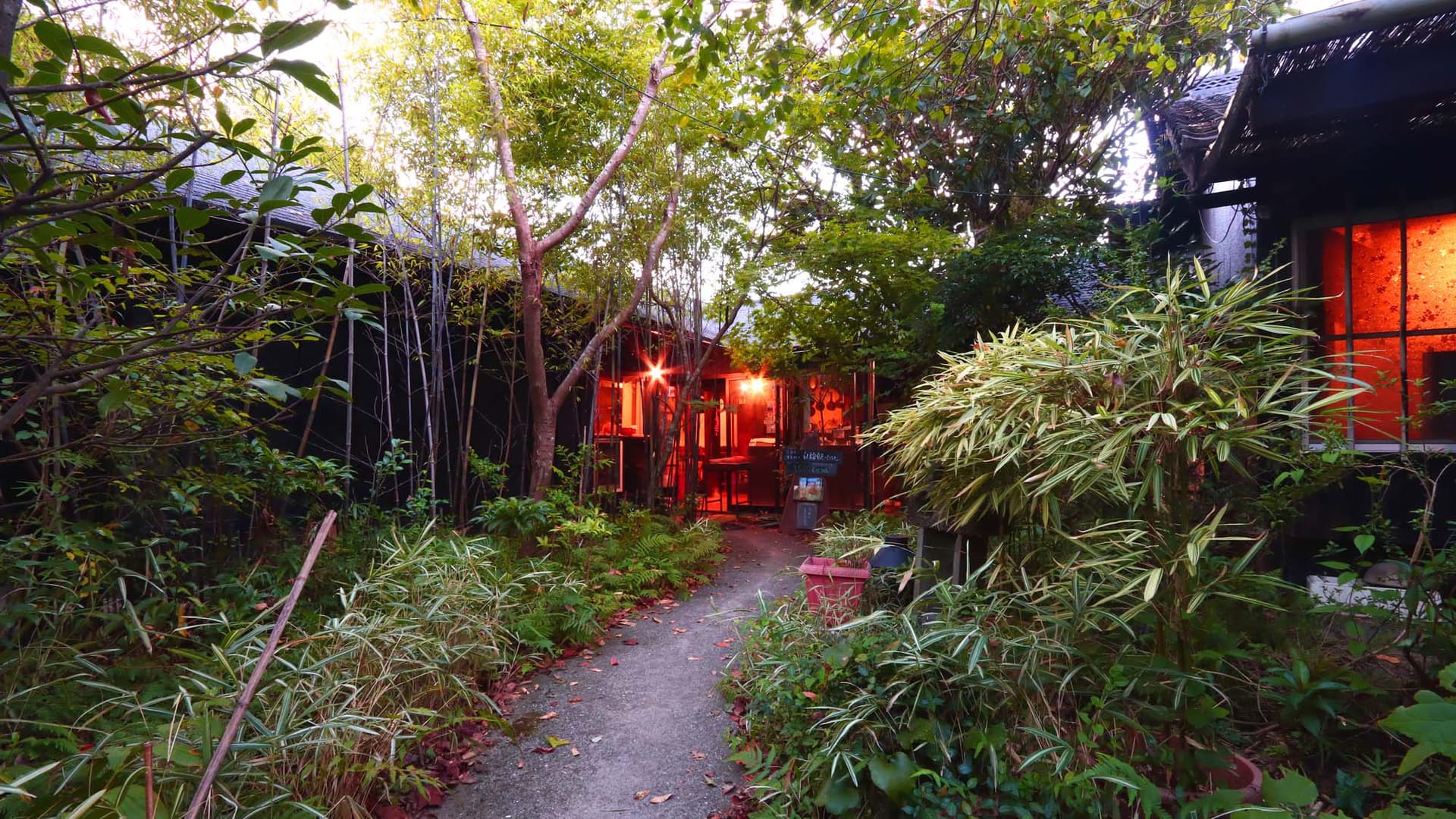 イサオ・クチーナ