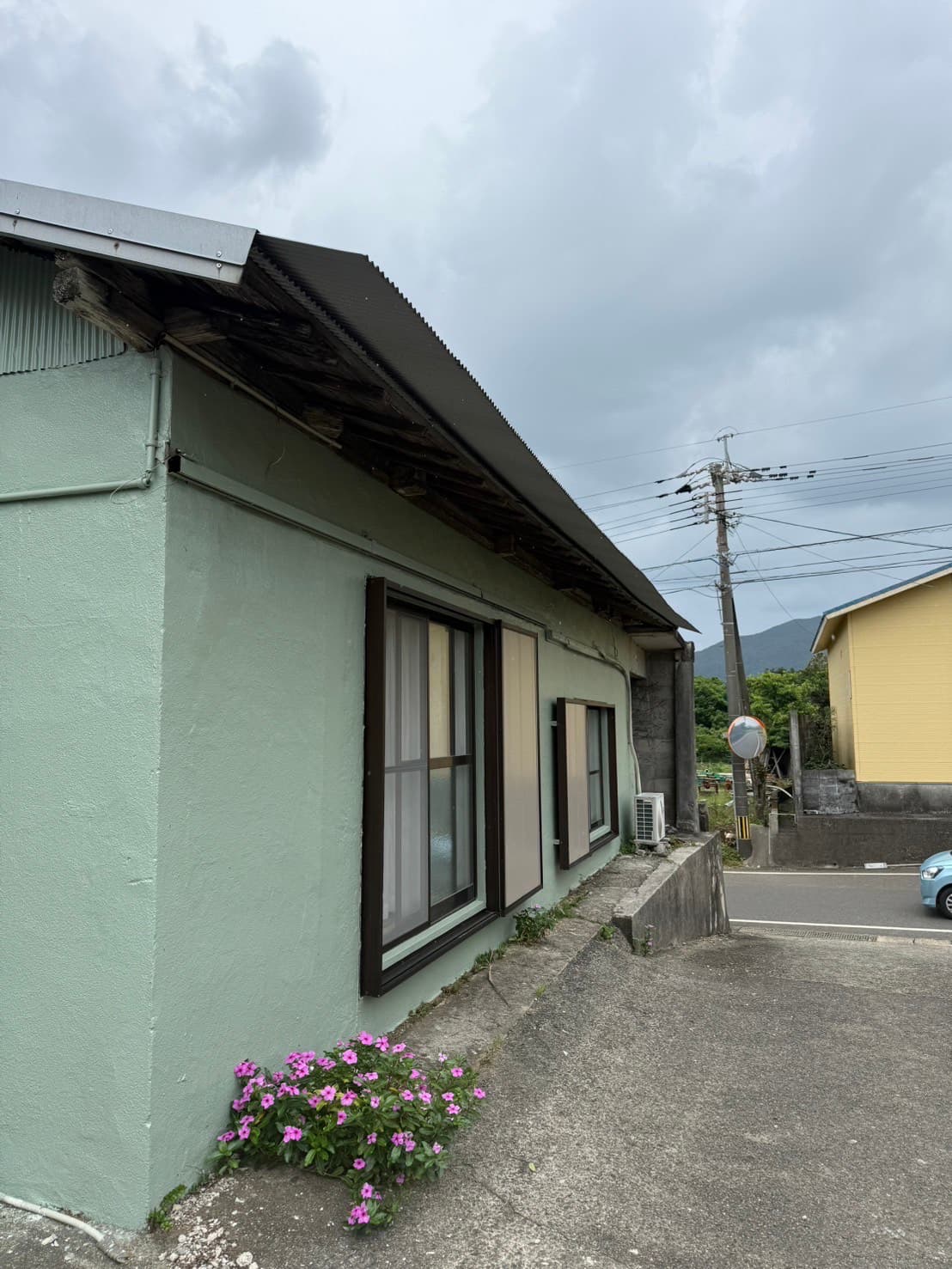 むじゅらい徳之島<徳之島>
