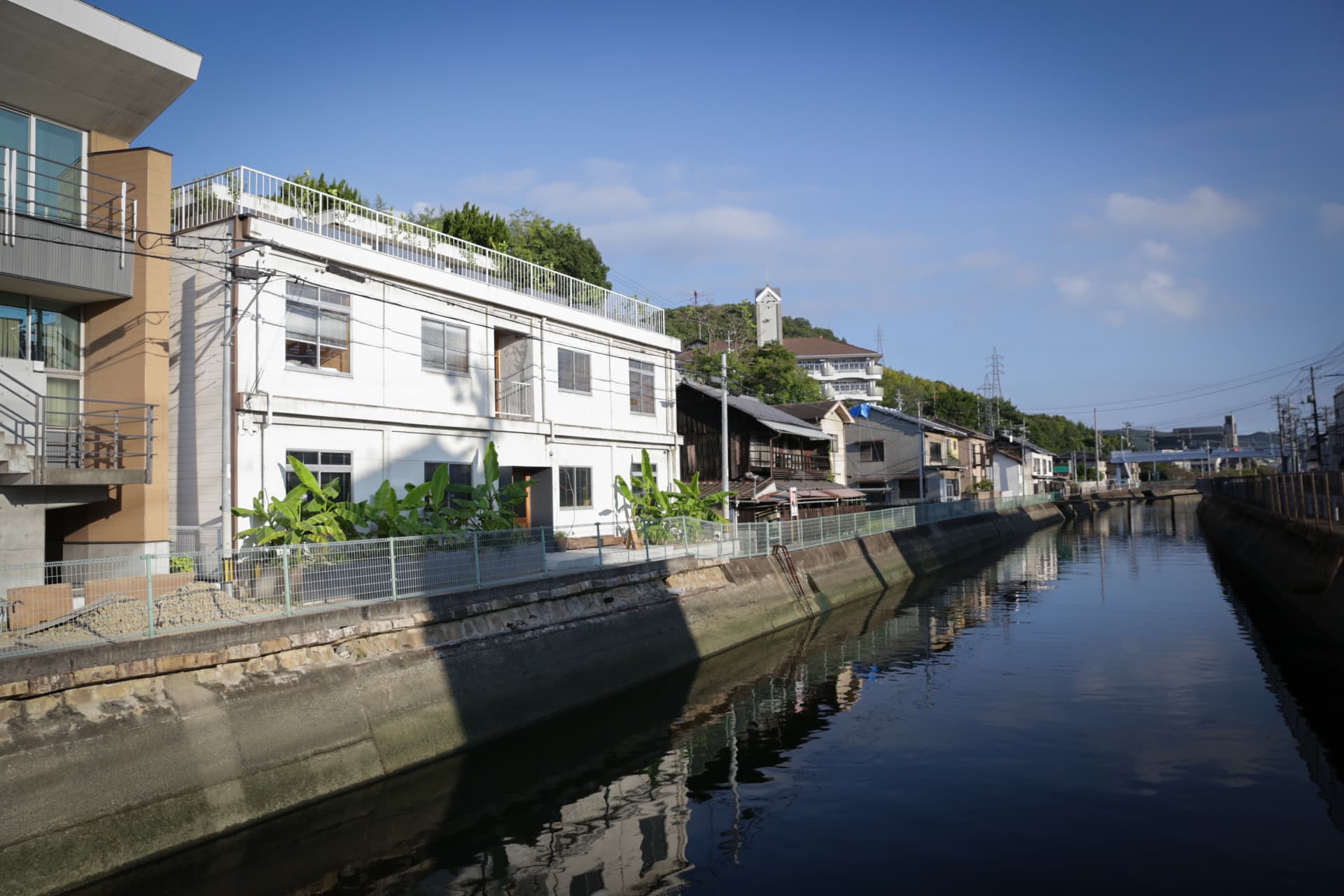 Ｌｅｍｏｎｓｅａ　Ｏｎｏｍｉｃｈｉ