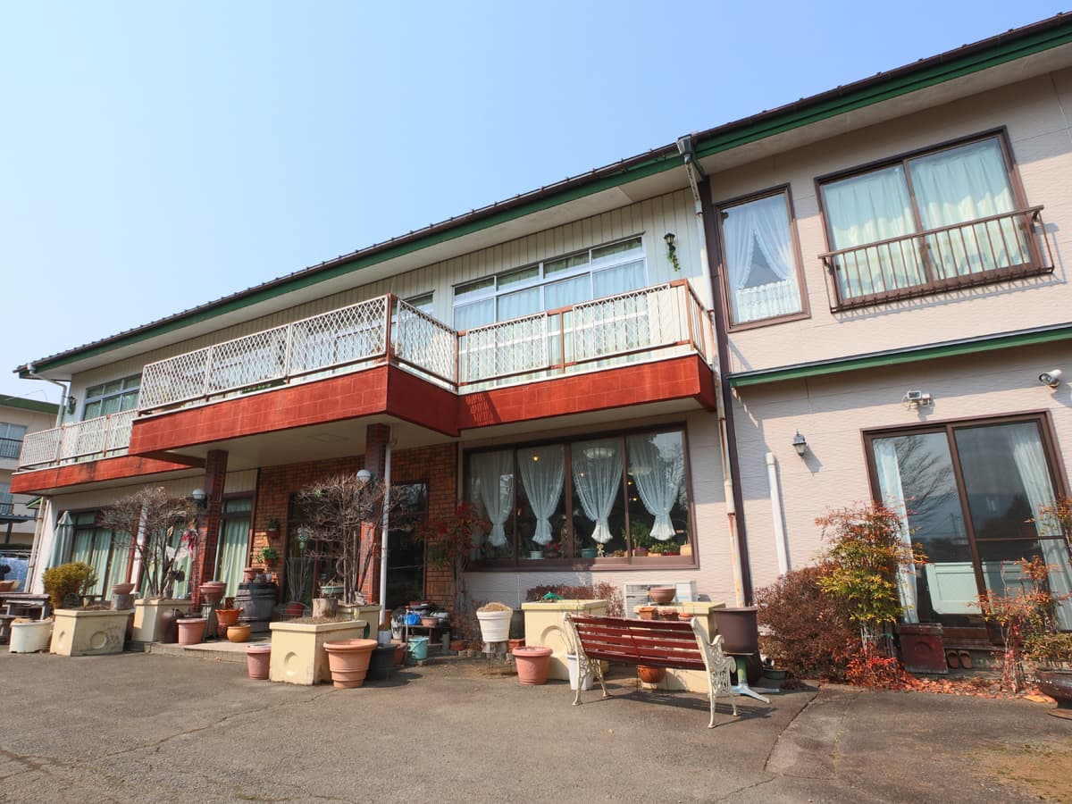 ＧＲＥＥＮＣＨＡＩＲ　ＡＭＡＮＯ